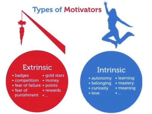 Diagram illustrating the difference between intrinsic and extrinsic motivators in an educational context.